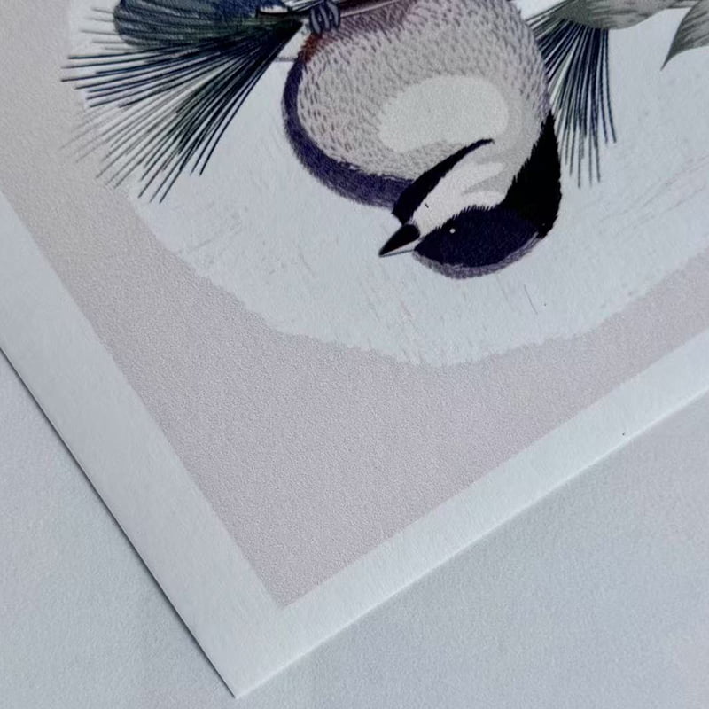 Papel pintado no tejido revestido imprimible M-NP180E0-P